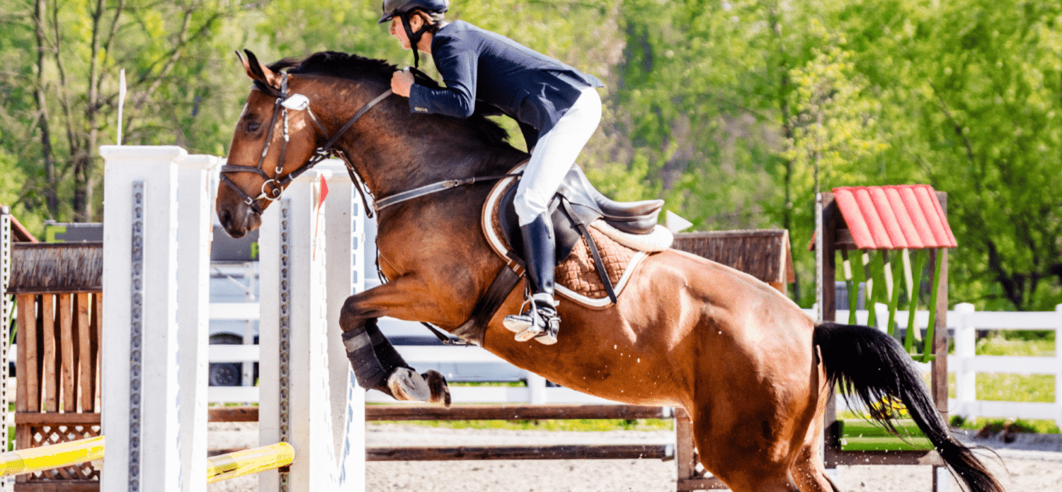 Saint-tropez-chevaux