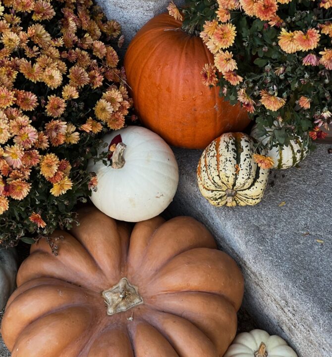 Halloween citrouille crillon le brave